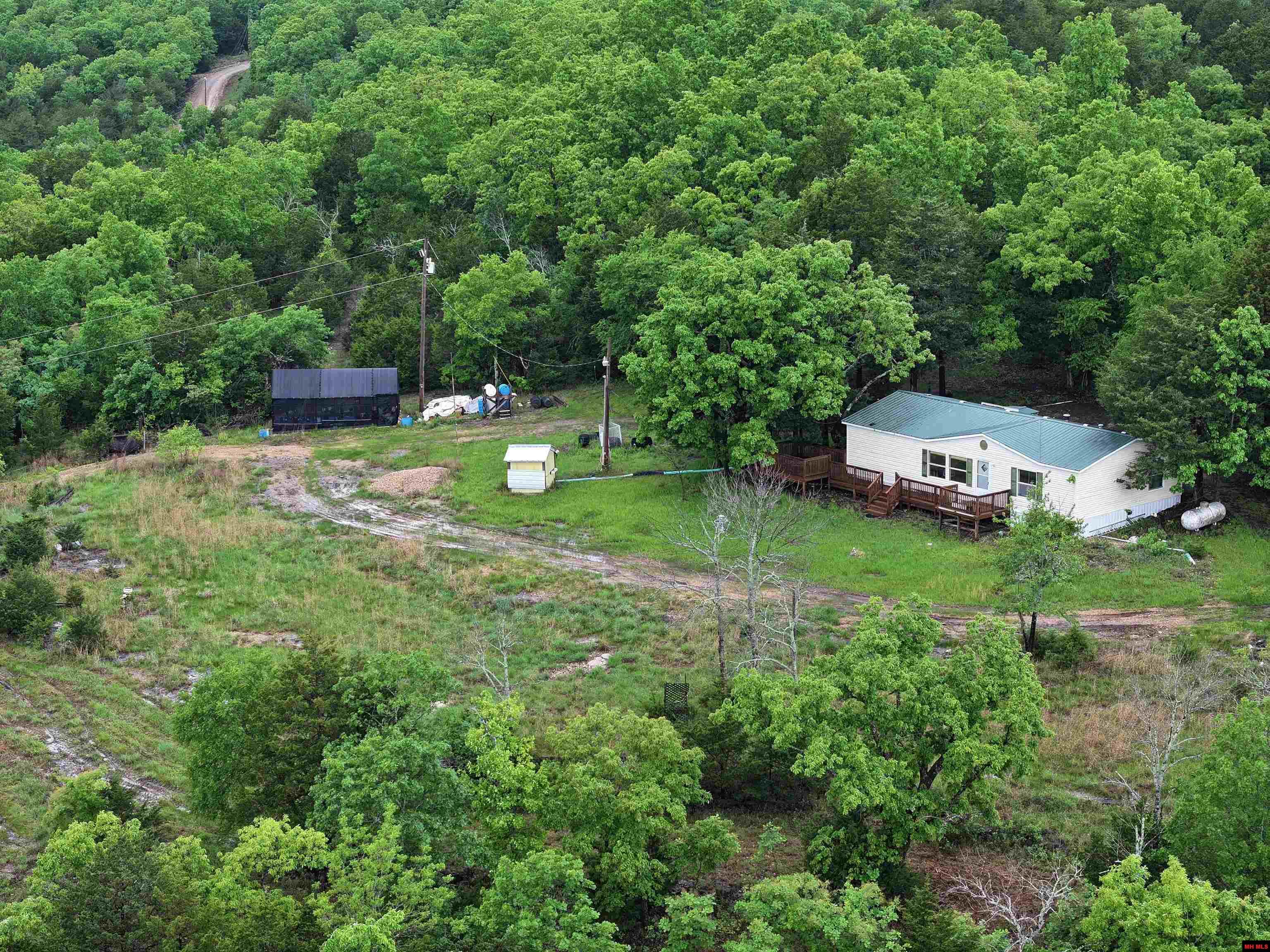 1427 MC 164 Theodosia, MO 65761