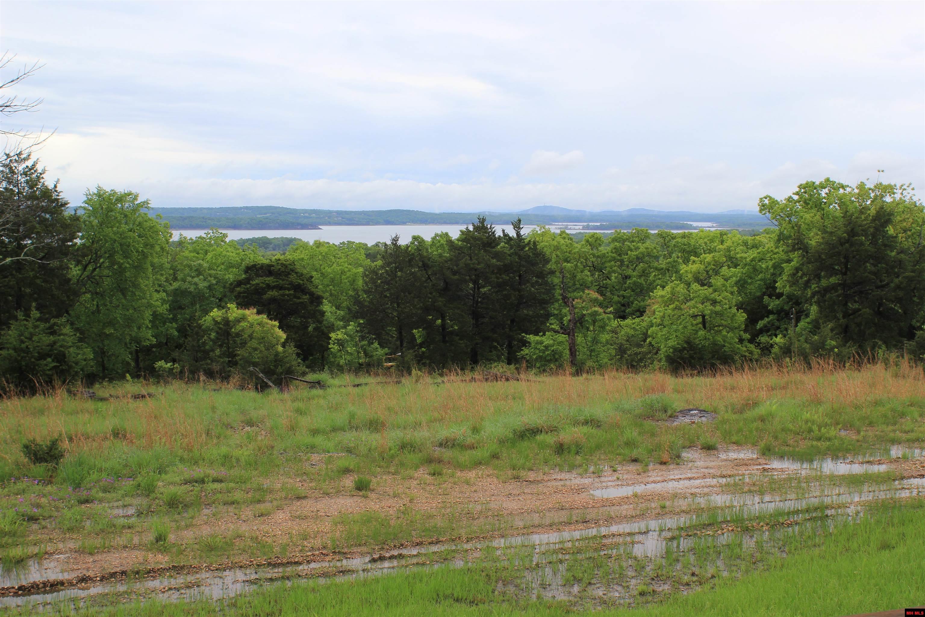 1427 MC 164 Theodosia, MO 65761