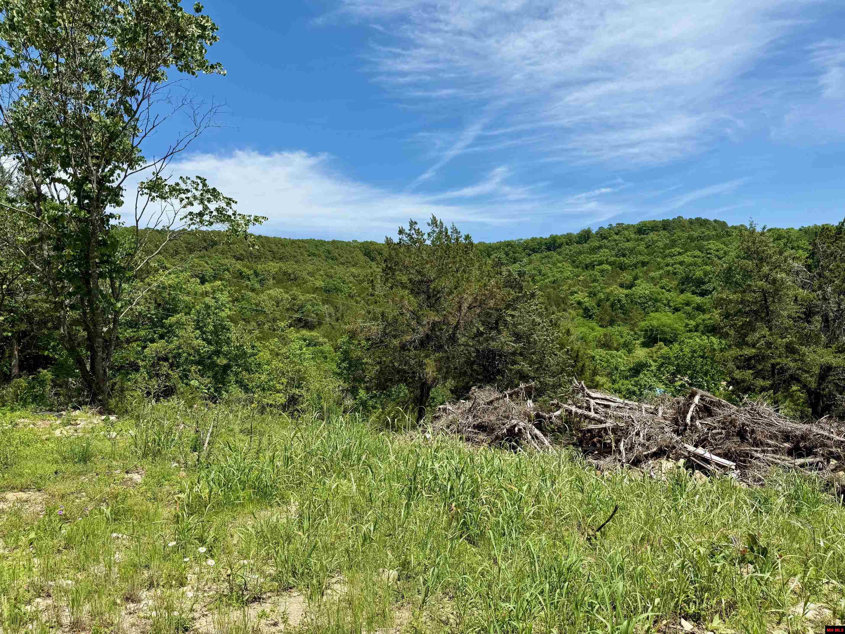 103 PROSPECT Norfork, AR