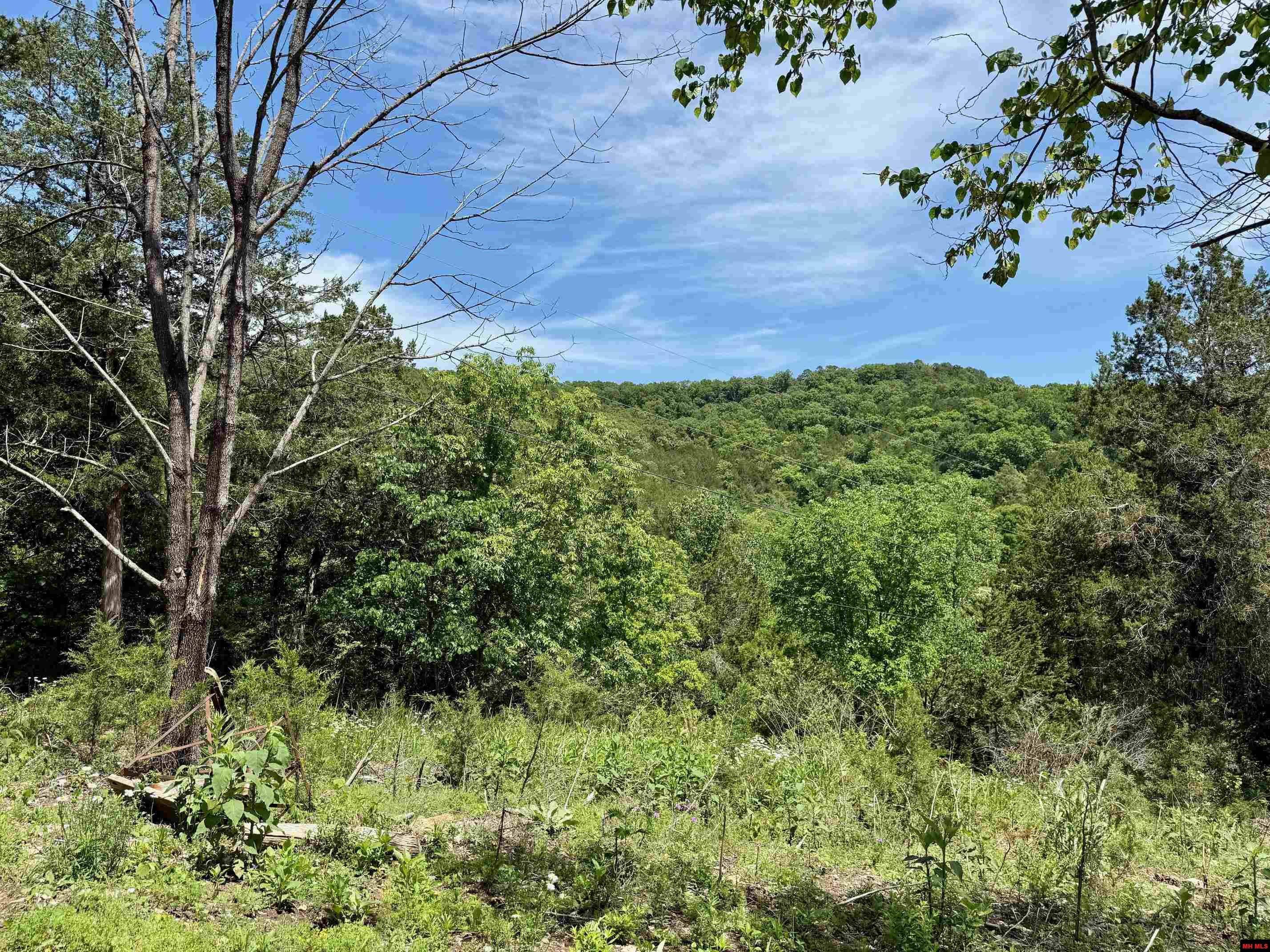 103 PROSPECT Norfork, AR