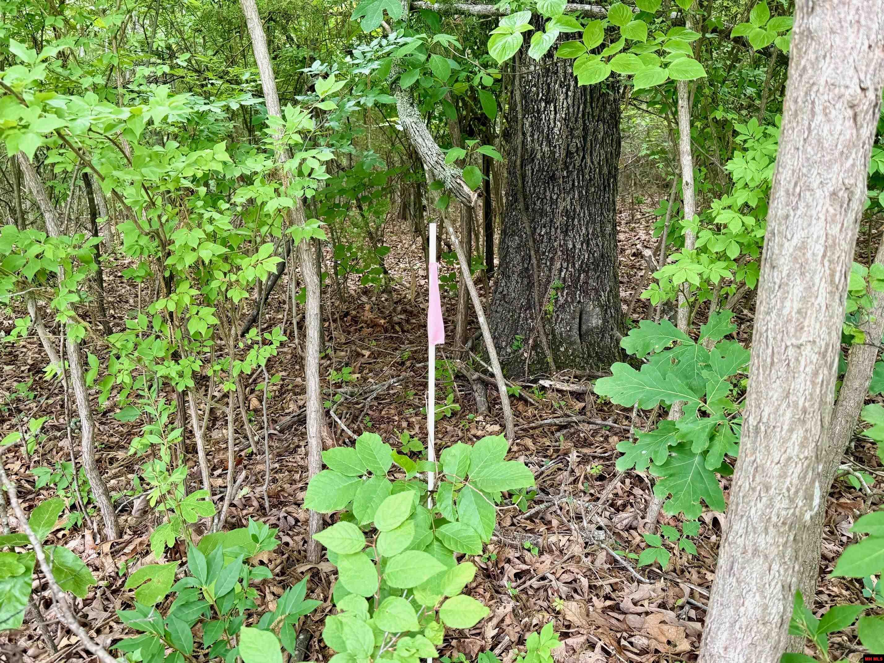 2236 CENTRAL BOULEVARD Bull Shoals, AR