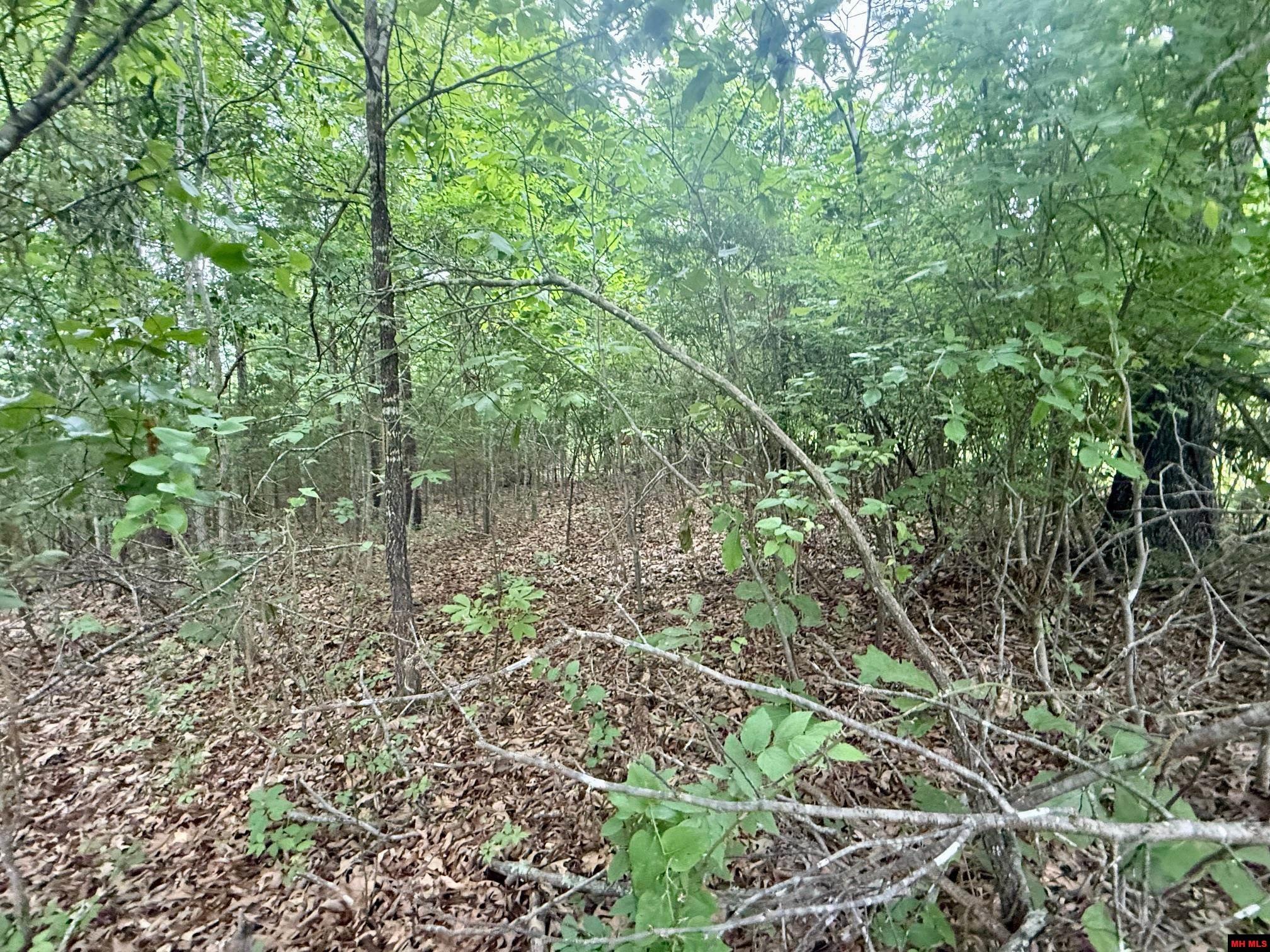 2236 CENTRAL BOULEVARD Bull Shoals, AR