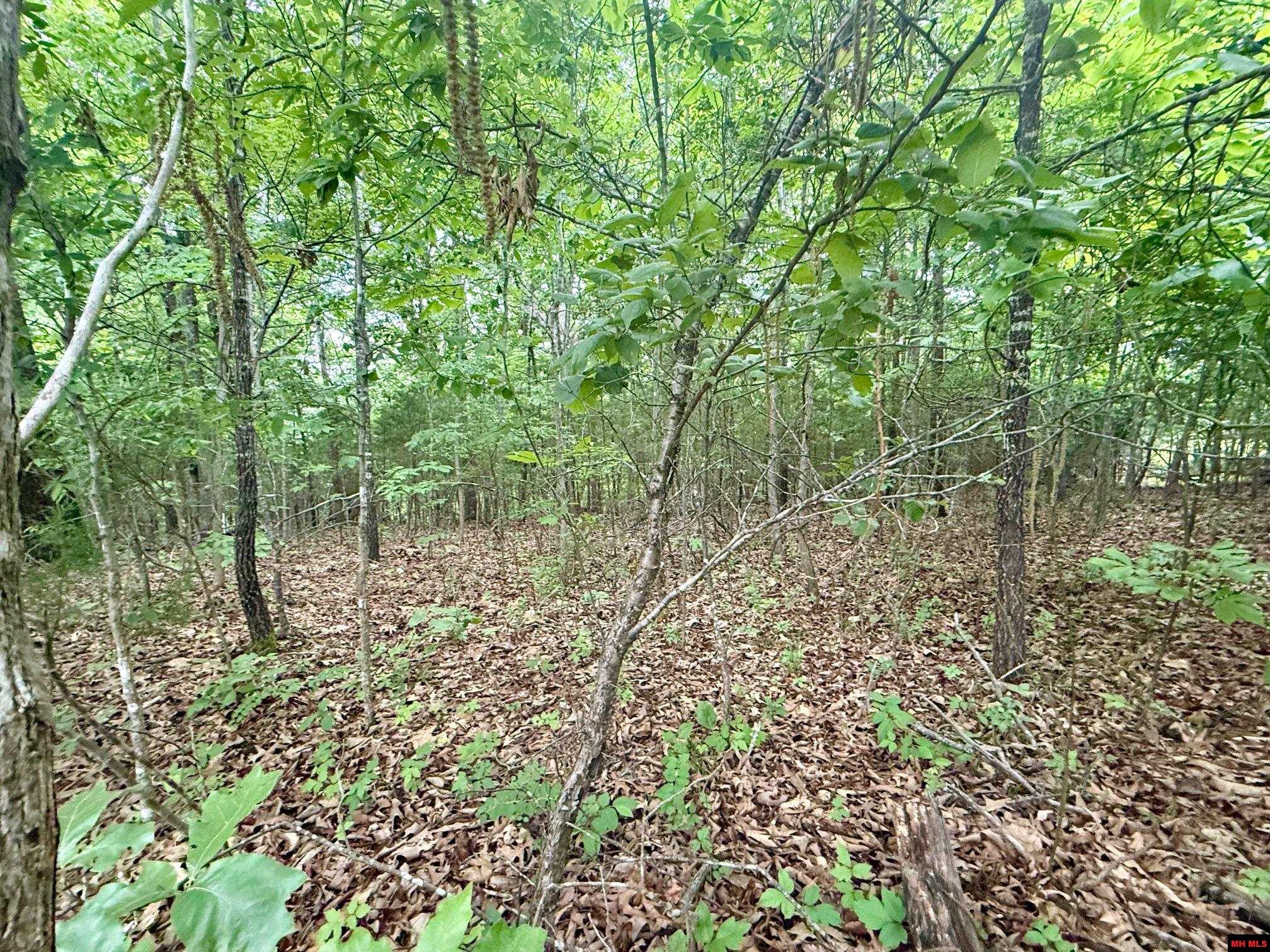 2236 CENTRAL BOULEVARD Bull Shoals, AR