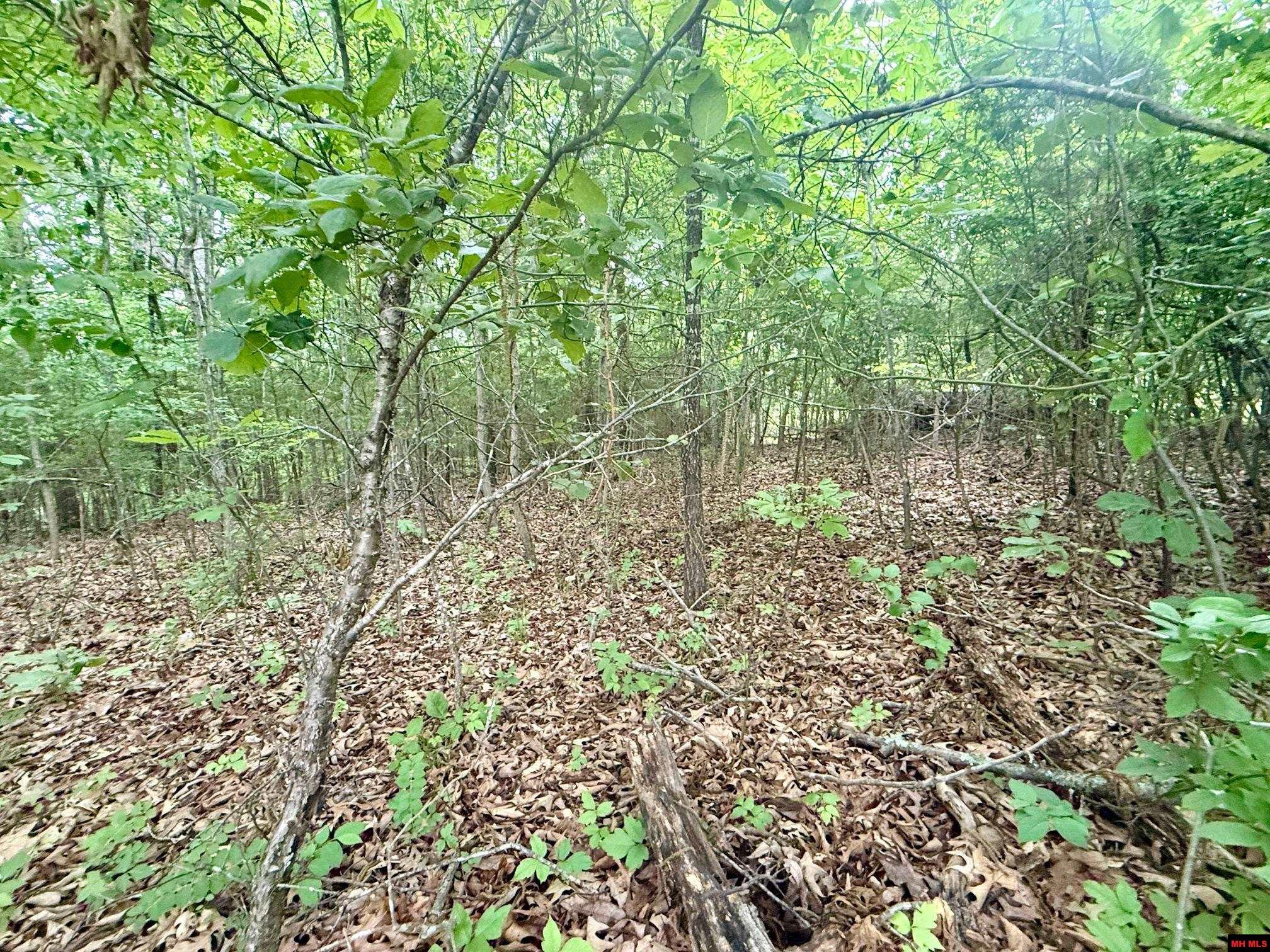 2236 CENTRAL BOULEVARD Bull Shoals, AR