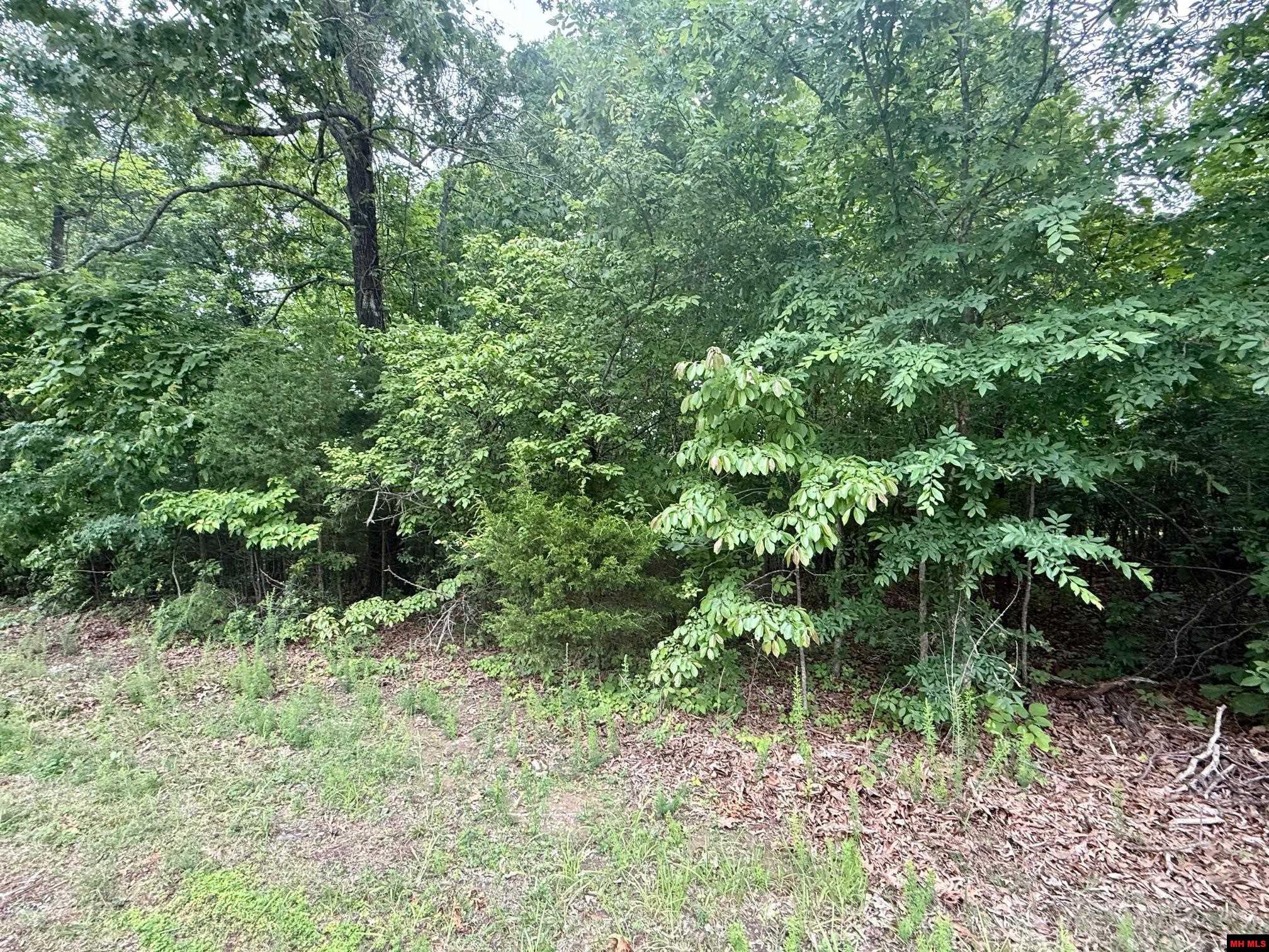 2236 CENTRAL BOULEVARD Bull Shoals, AR