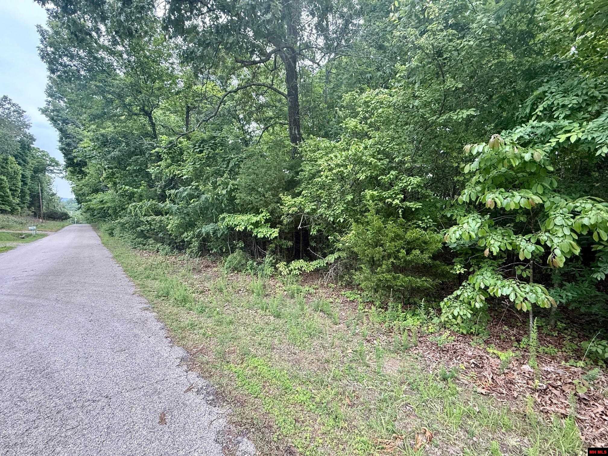 2236 CENTRAL BOULEVARD Bull Shoals, AR