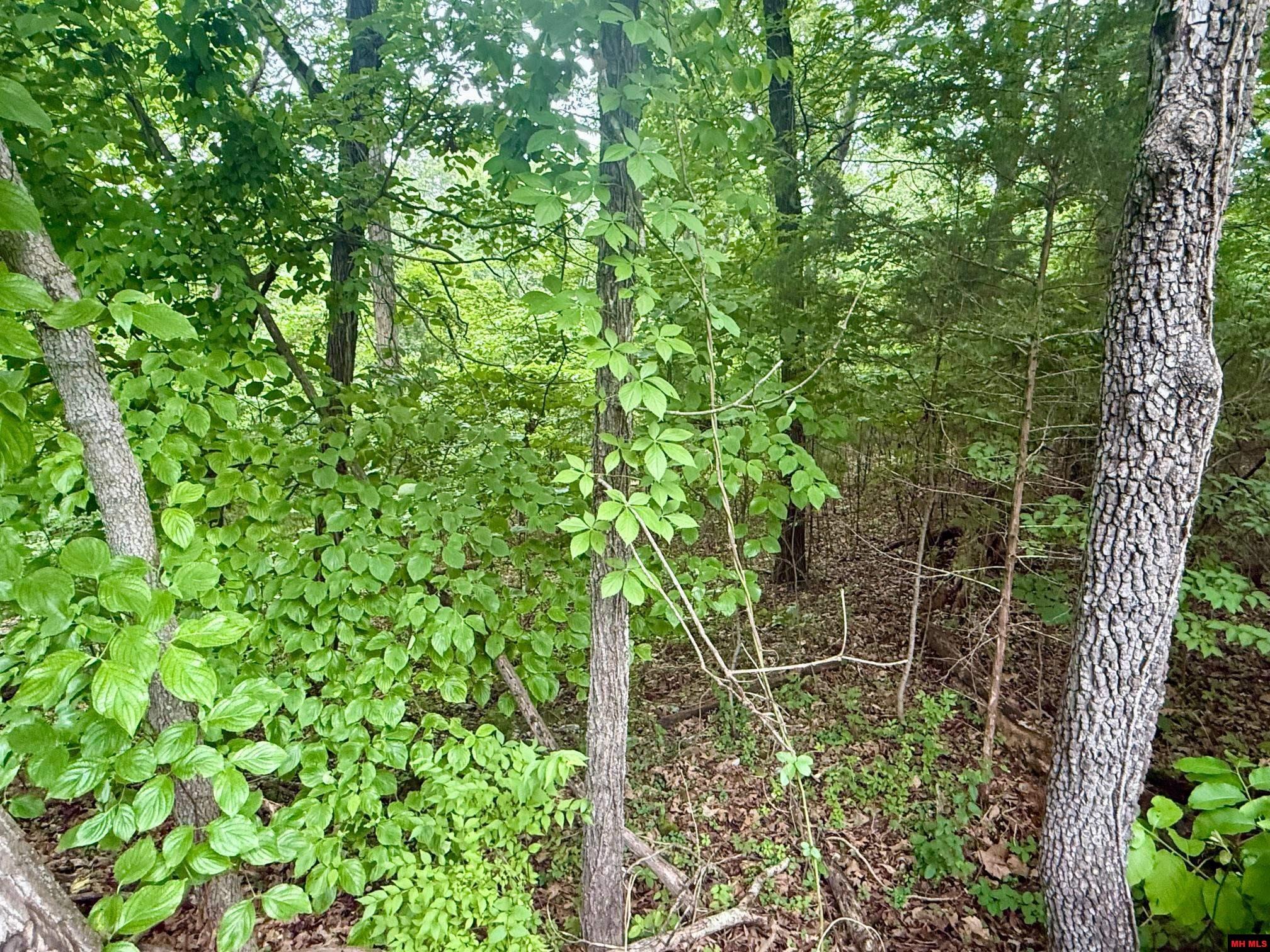 2236 CENTRAL BOULEVARD Bull Shoals, AR