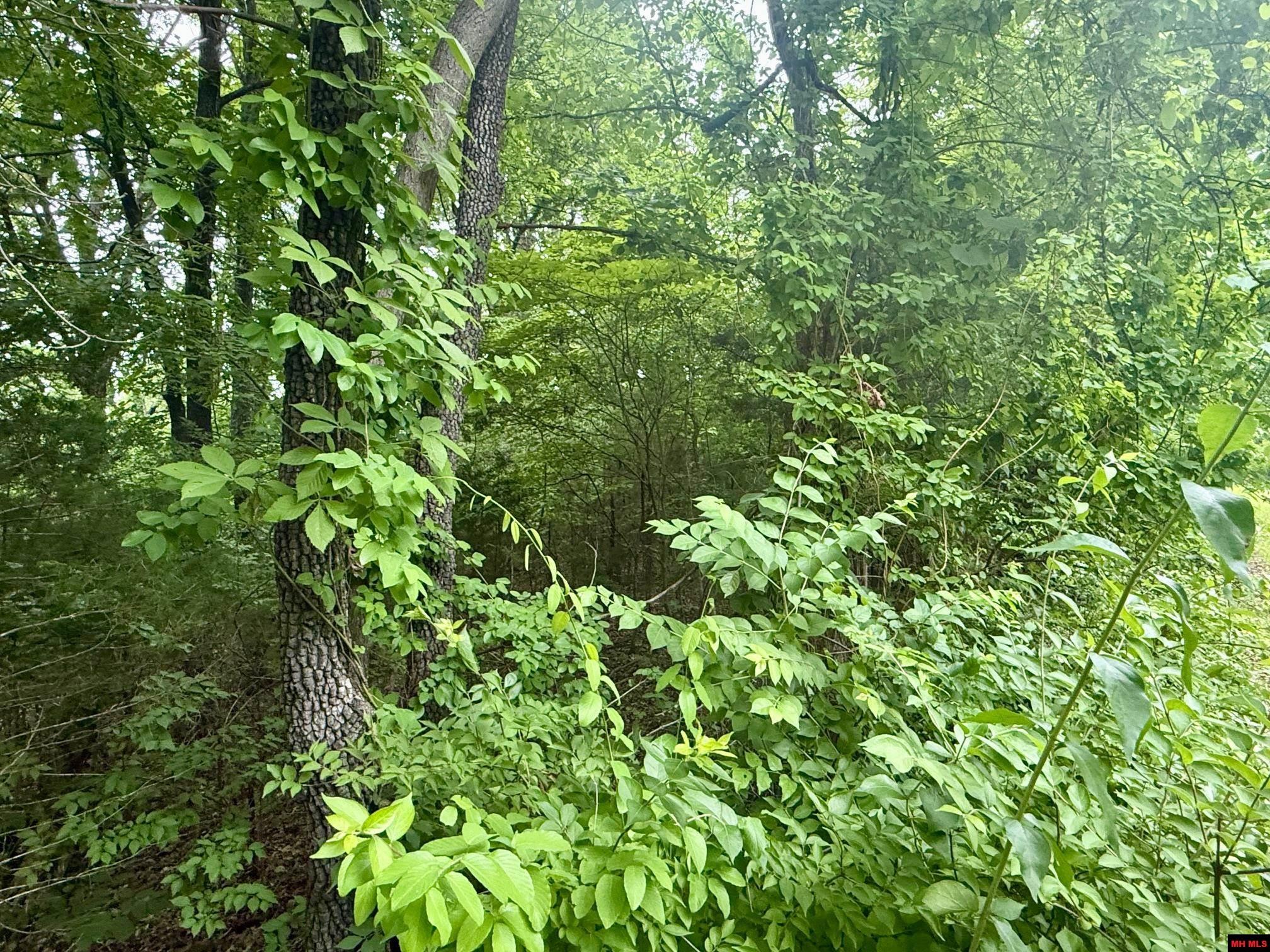 2236 CENTRAL BOULEVARD Bull Shoals, AR