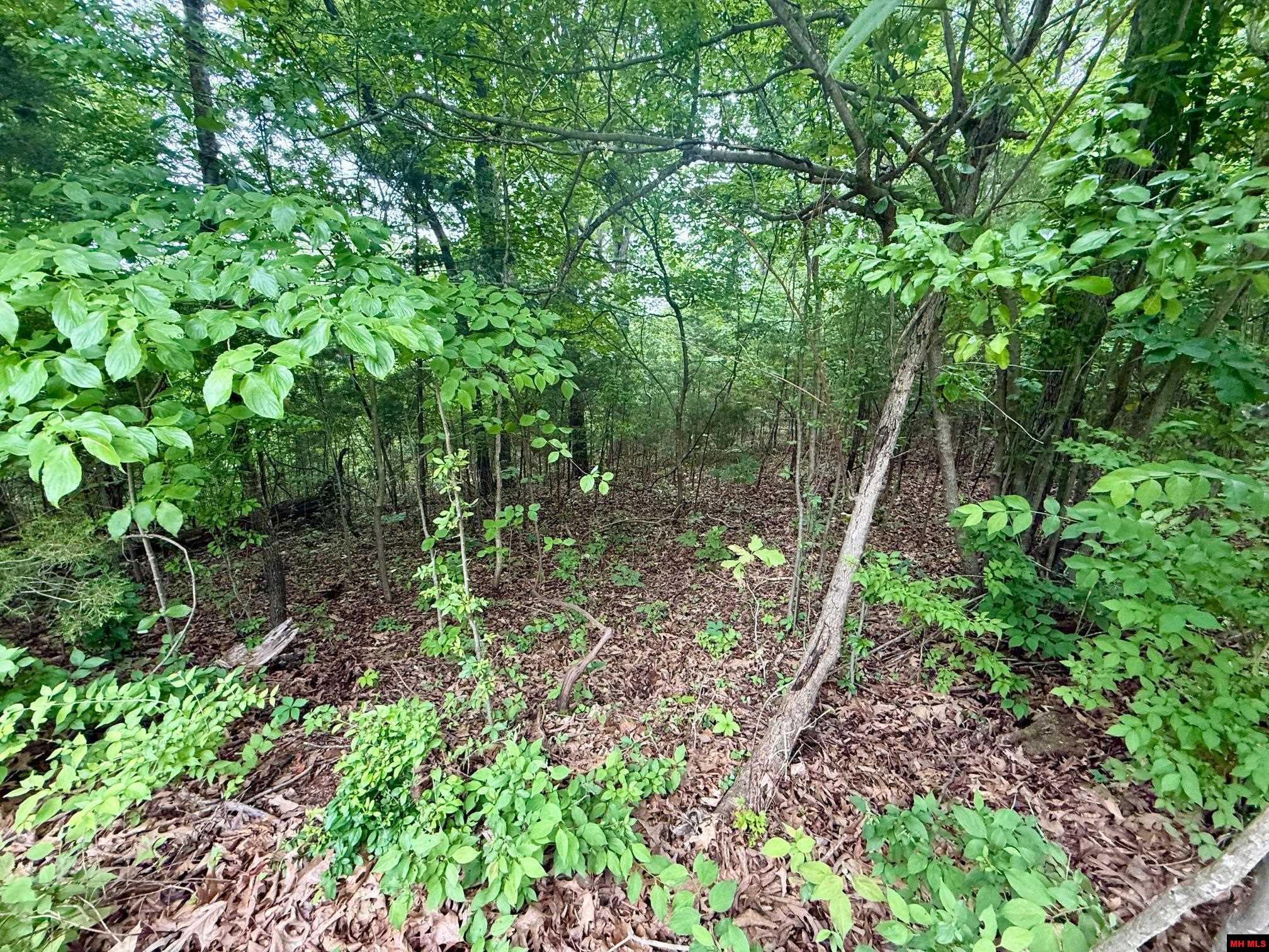 2236 CENTRAL BOULEVARD Bull Shoals, AR