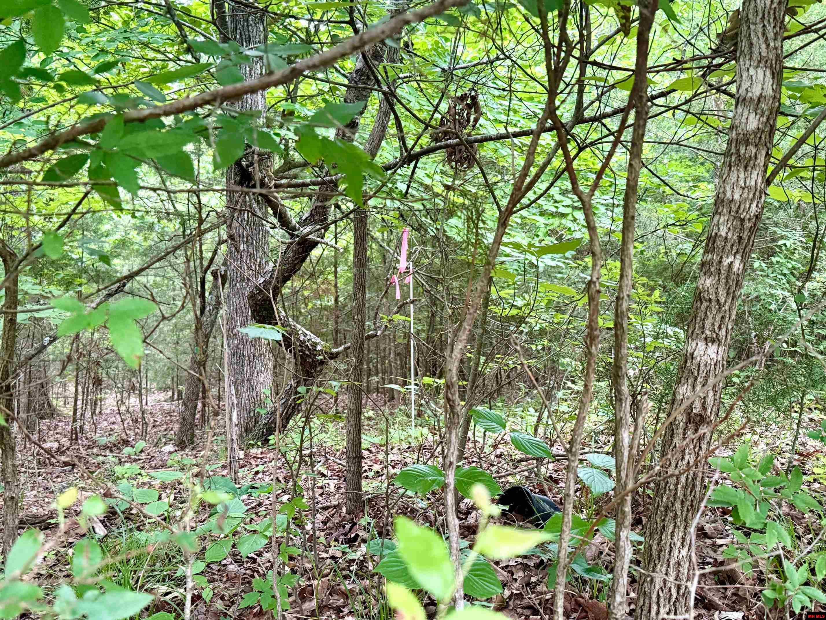 2236 CENTRAL BOULEVARD Bull Shoals, AR