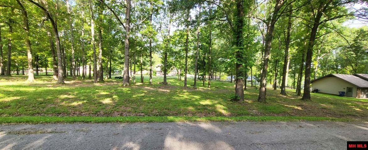 960 PEBBLECREEK DRIVE Mountain Home, AR