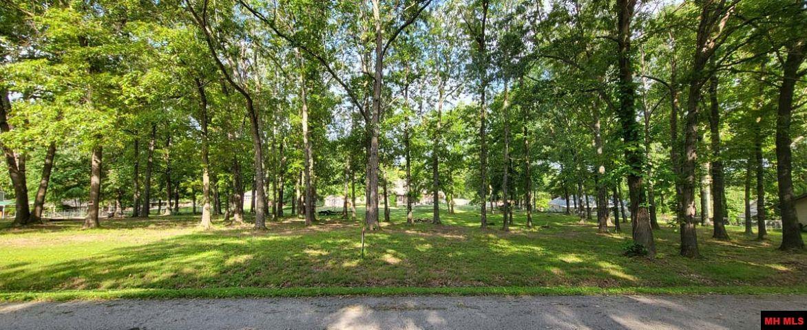 960 PEBBLECREEK DRIVE Mountain Home, AR