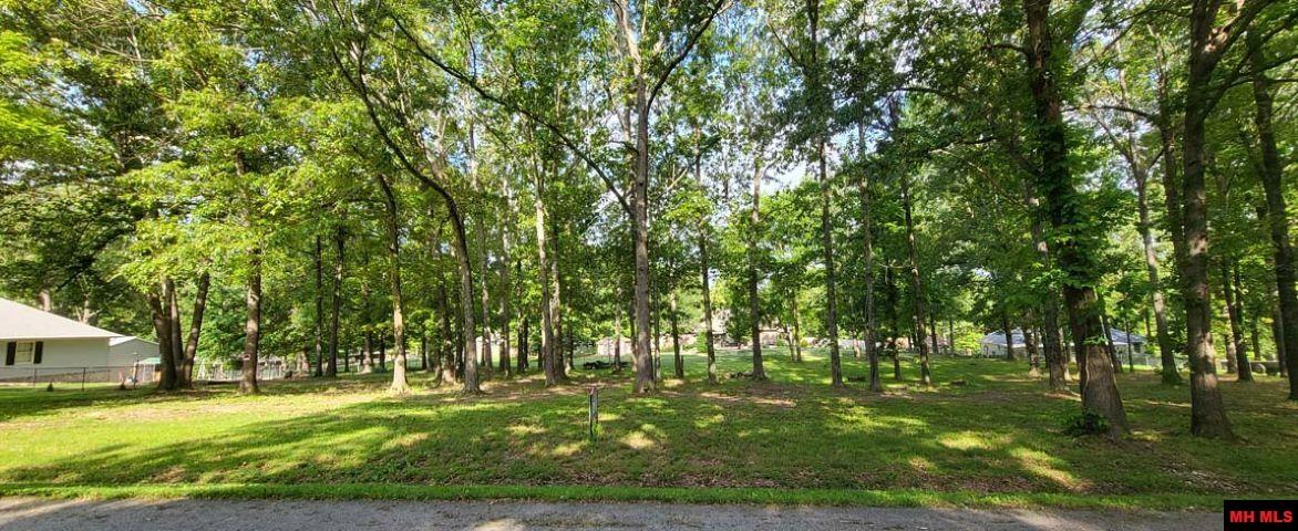960 PEBBLECREEK DRIVE Mountain Home, AR