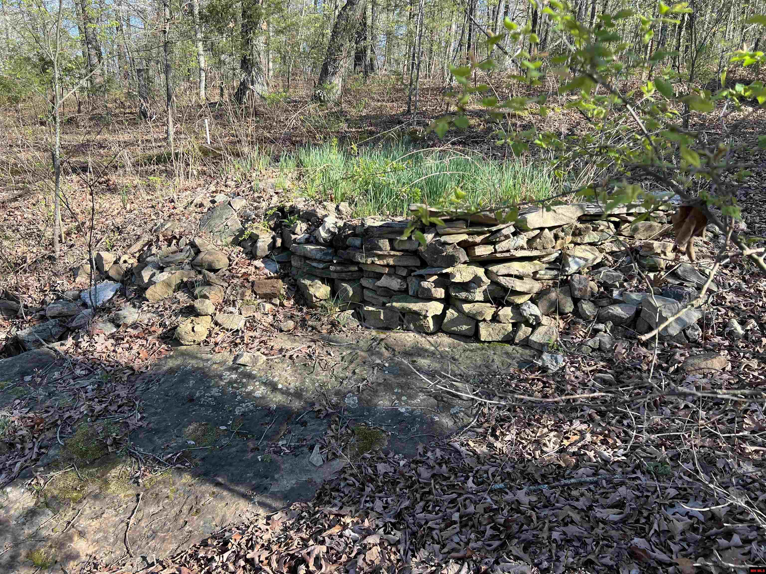 761 MC 8054 Yellville, AR 72687