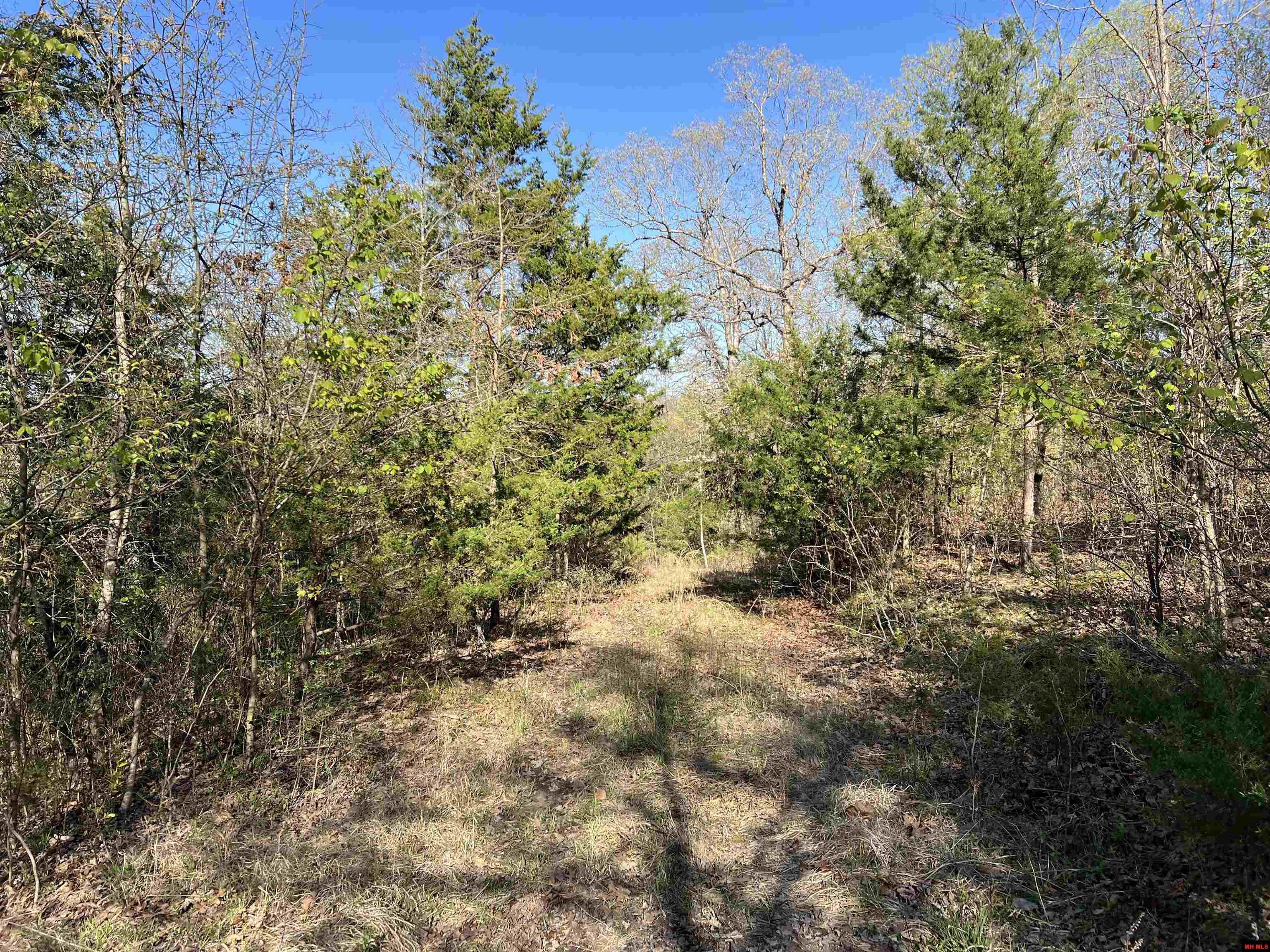 761 MC 8054 Yellville, AR 72687