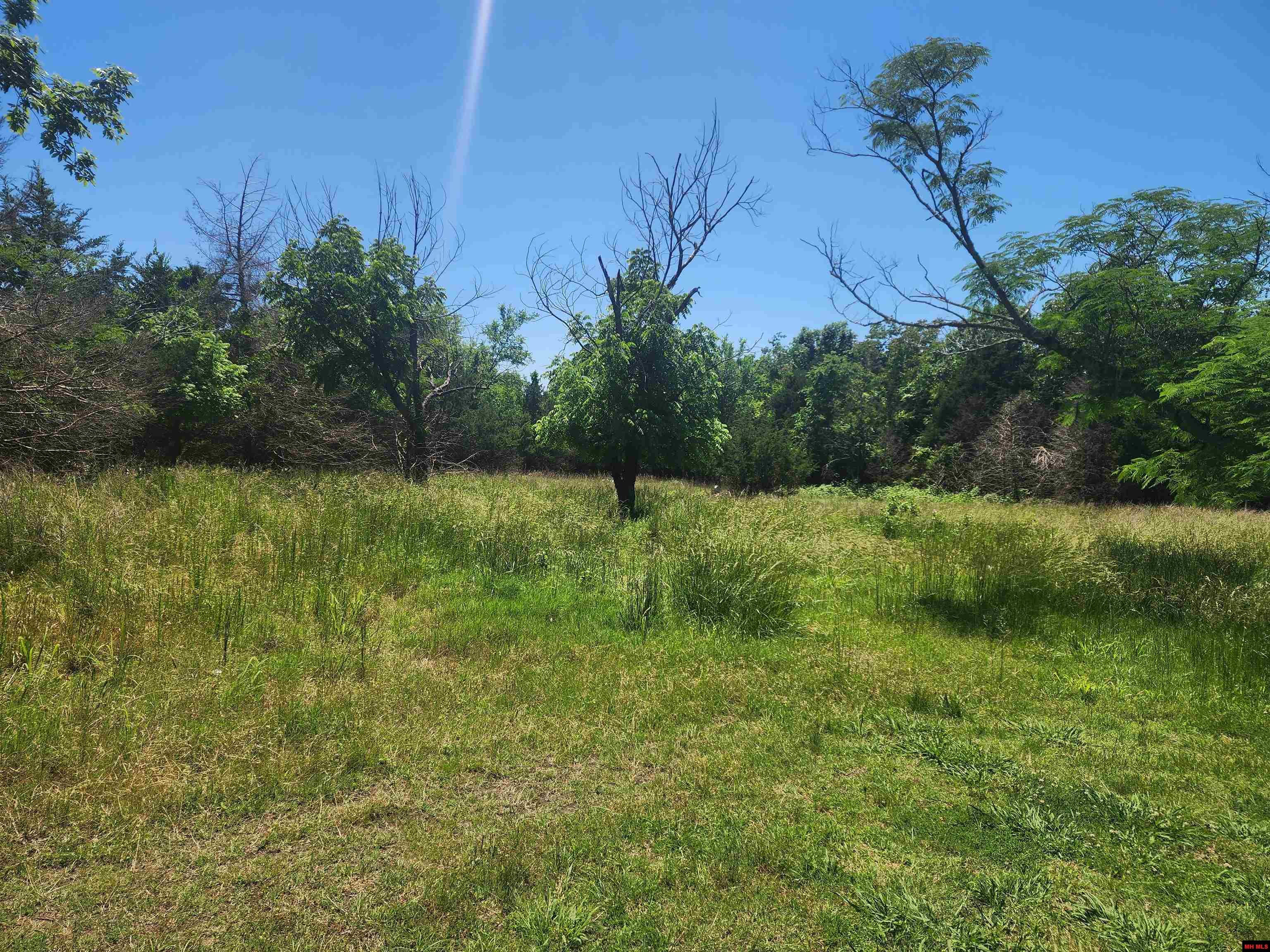 2488 & 2482 MC 172 Theodosia, MO