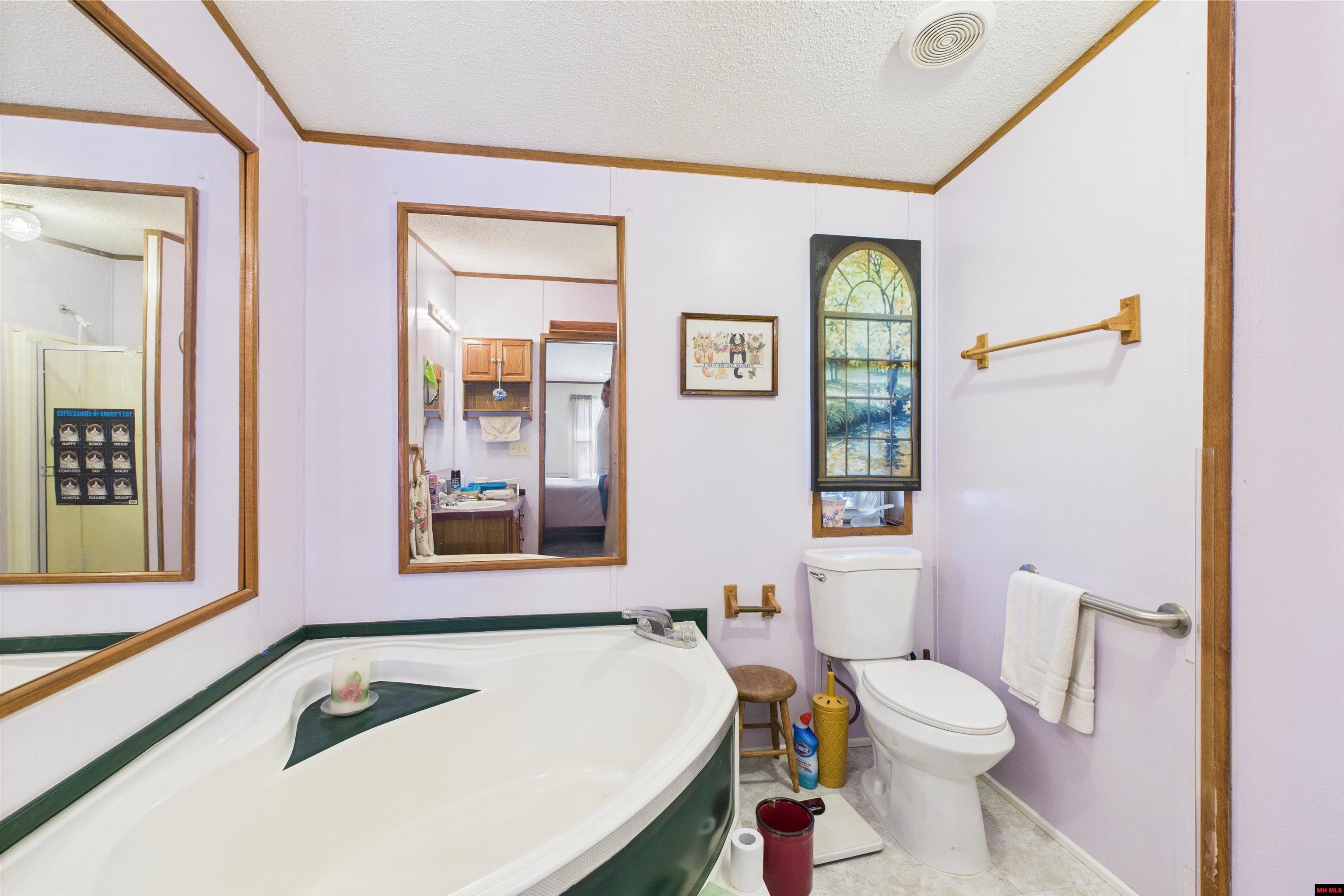 1236 GLENBRIAR COURT Mountain Home, AR