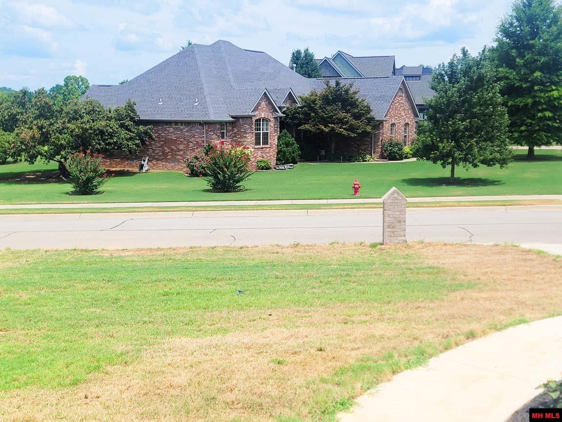 238 S SHEEKS DRIVE Mountain Home, AR