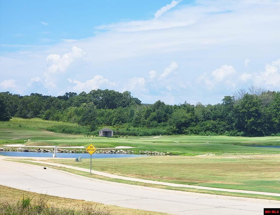 238 S SHEEKS DRIVE Mountain Home, AR