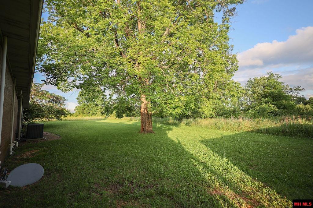 1177 HWY 62 Cotter, AR