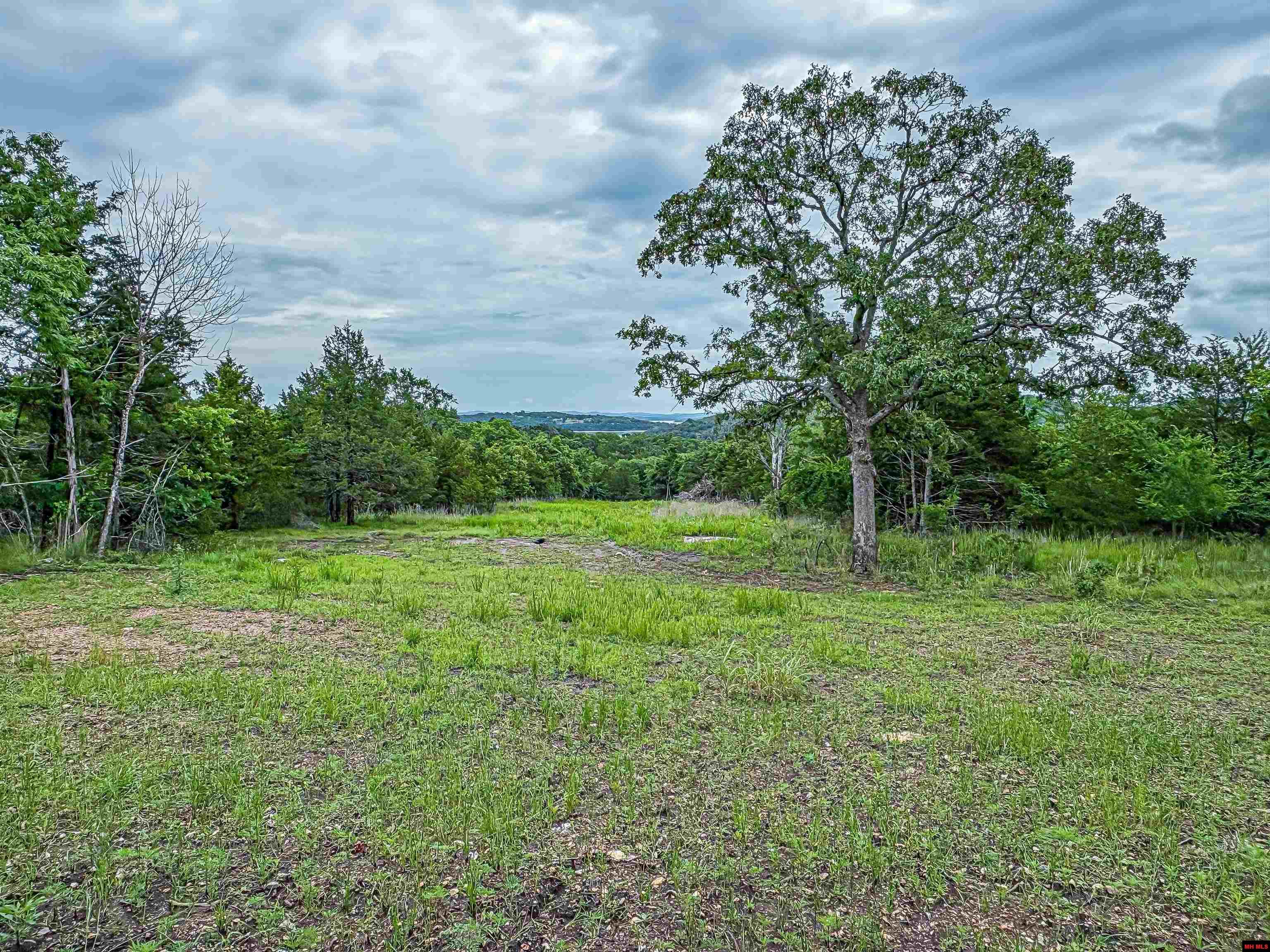 5 MC 2028 Yellville, AR 72687