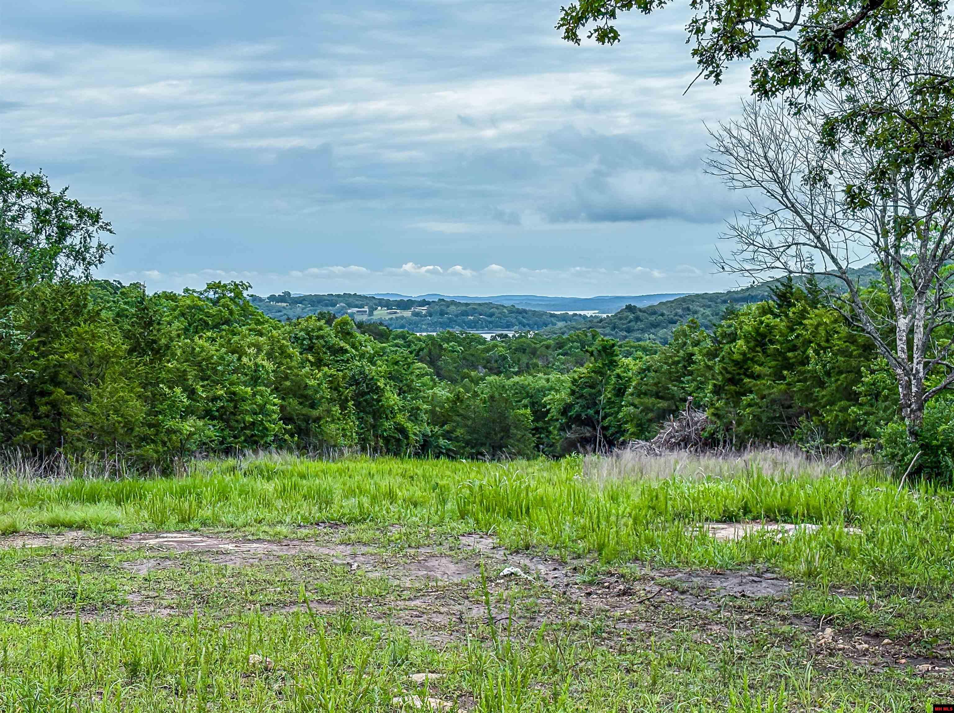 5 MC 2028 Yellville, AR 72687