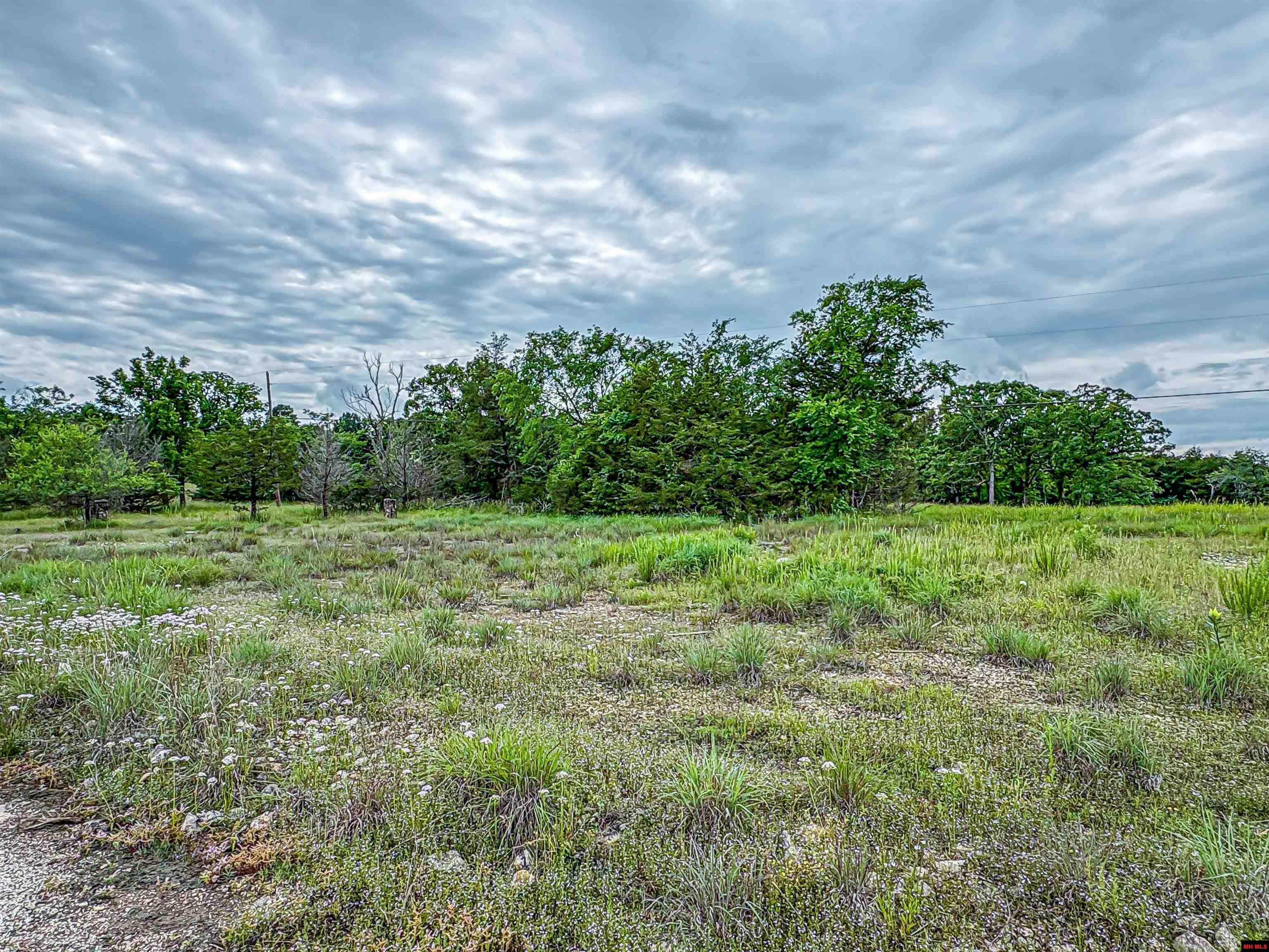 5 MC 2028 Yellville, AR 72687