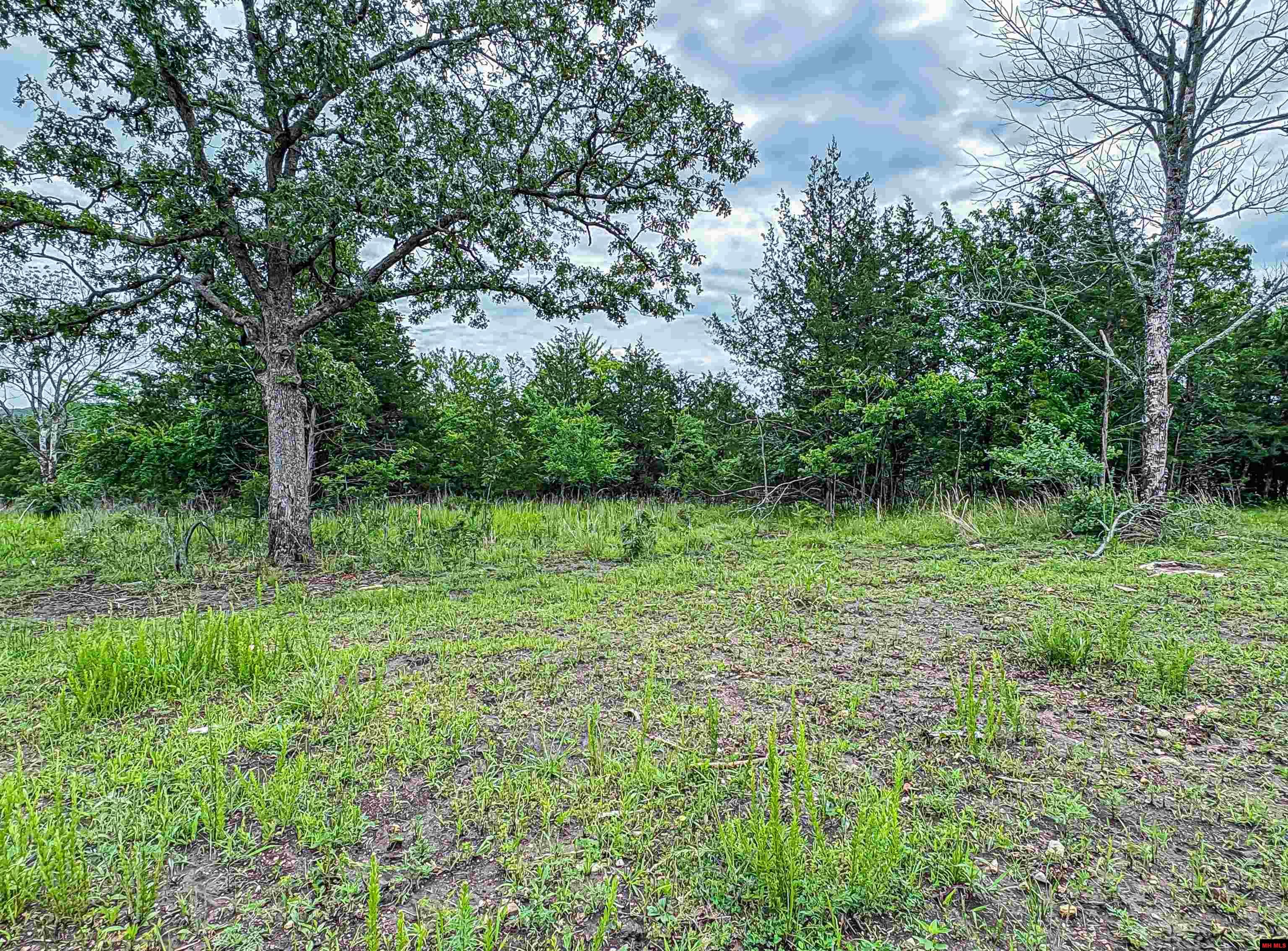 5 MC 2028 Yellville, AR 72687