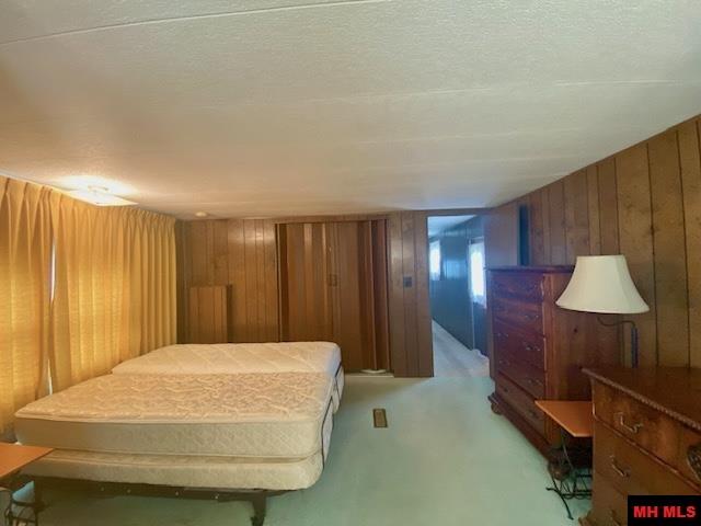117 WEHMEYER LOOP Mountain Home, AR