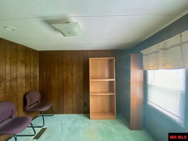 117 WEHMEYER LOOP Mountain Home, AR