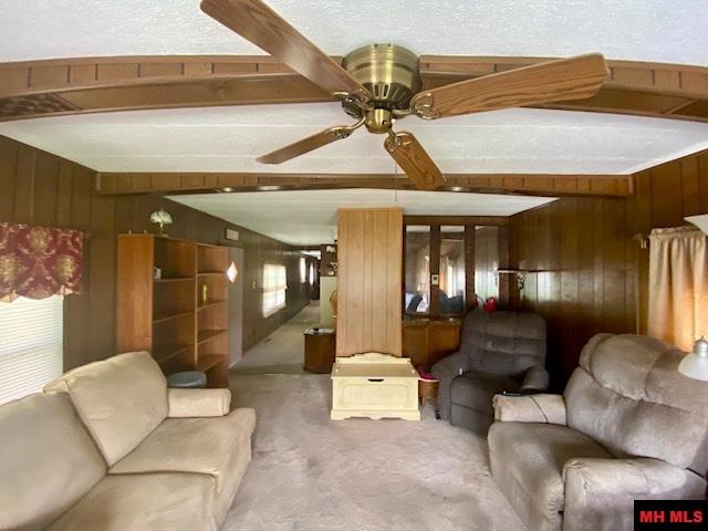 117 WEHMEYER LOOP Mountain Home, AR