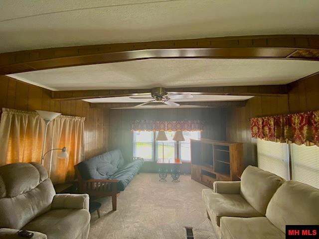 117 WEHMEYER LOOP Mountain Home, AR