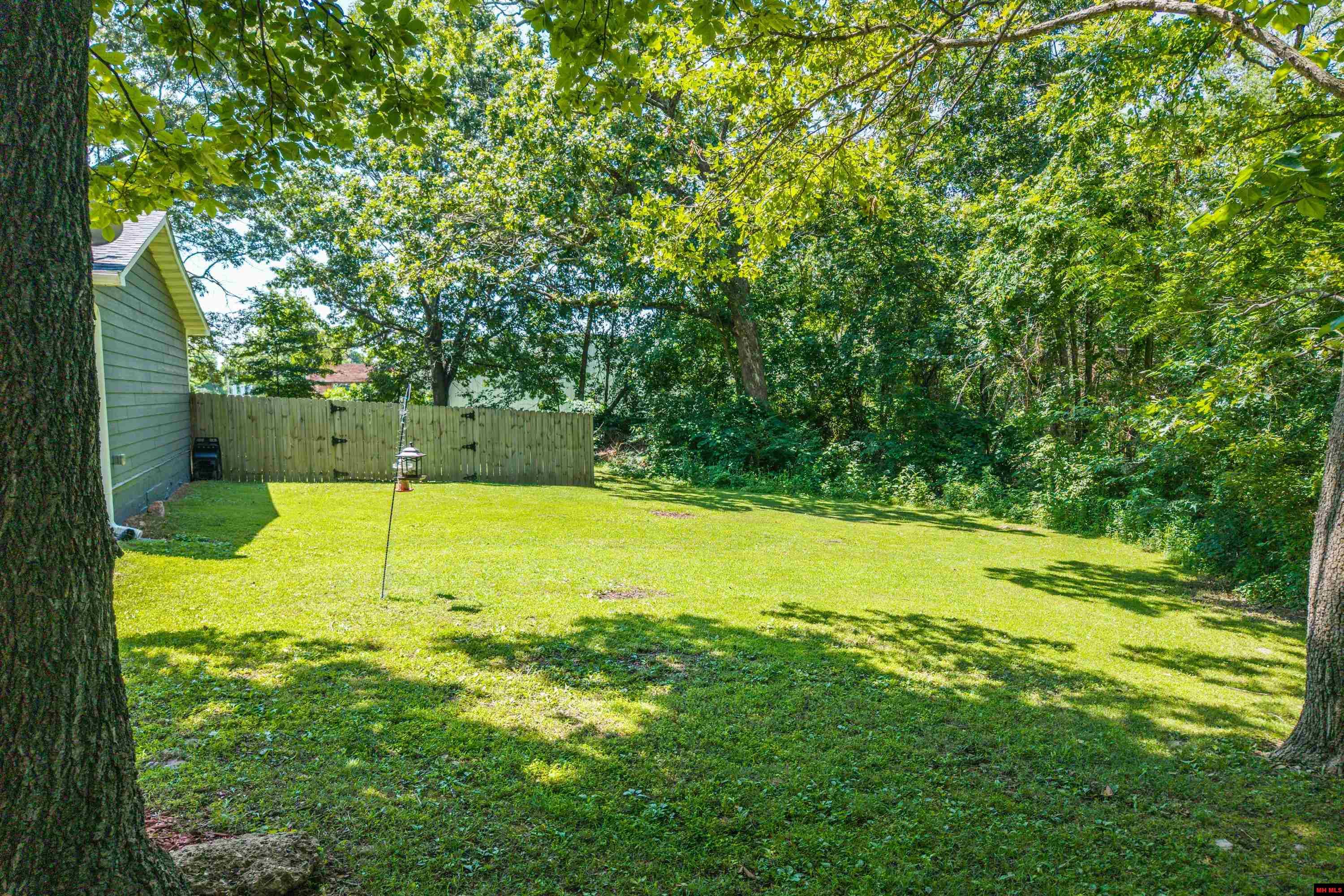 46 TOWN PARK PLACE Mountain Home, AR