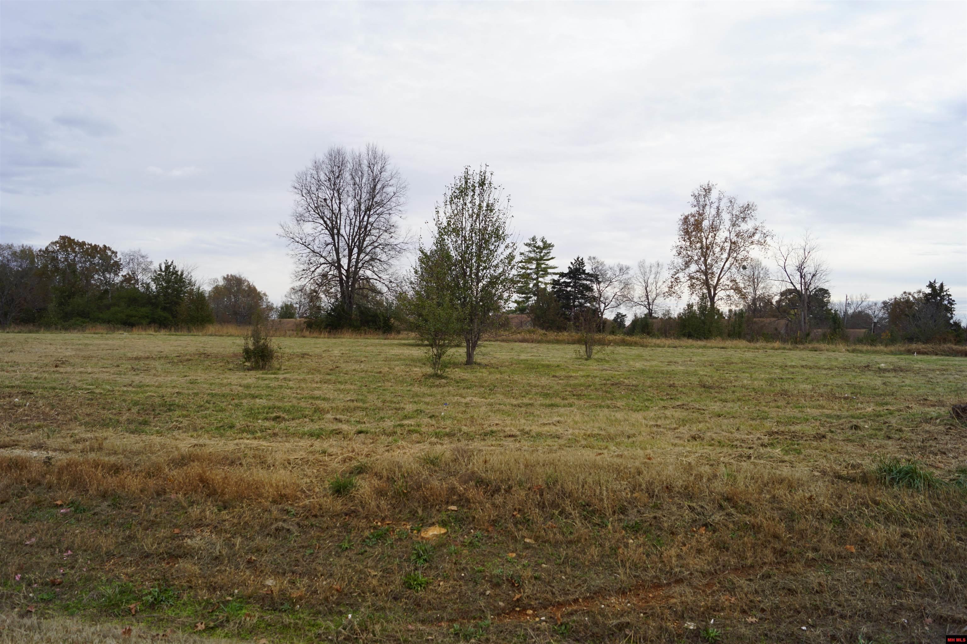 1177 HWY 62 Cotter, AR