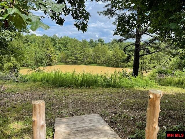 1674 ECHOWOOD CIRCLE Viola, AR 72583