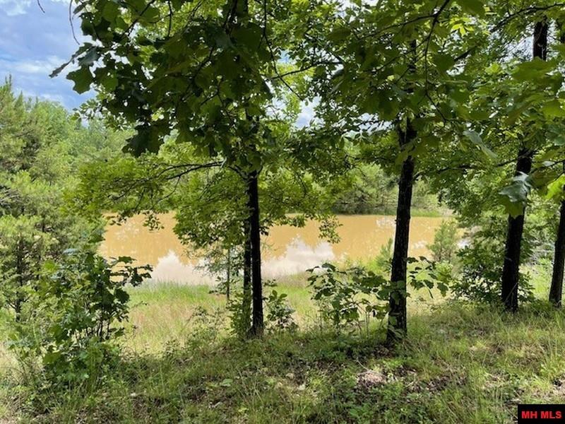 1674 ECHOWOOD CIRCLE Viola, AR 72583