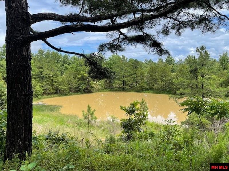 1674 ECHOWOOD CIRCLE Viola, AR 72583