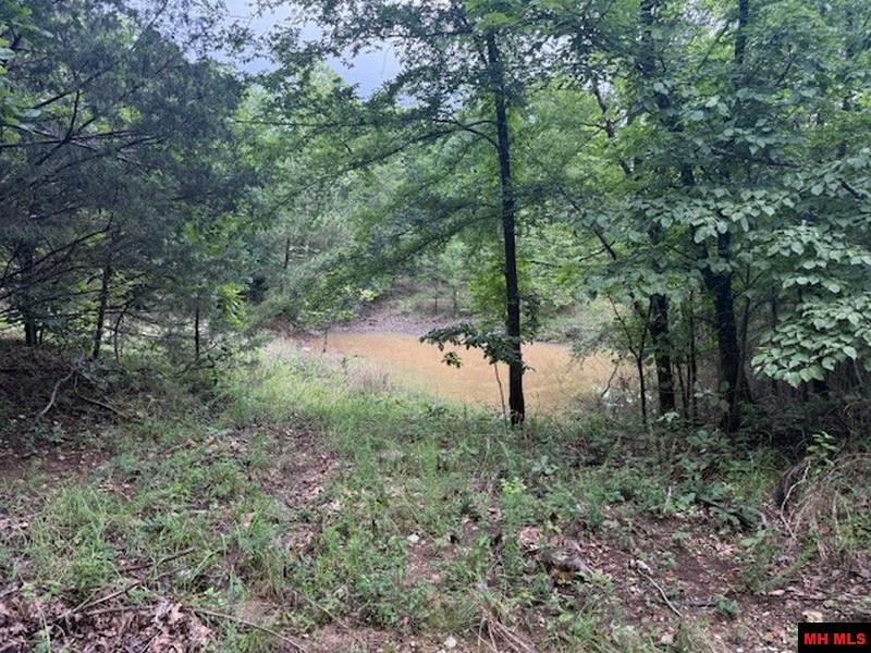 1674 ECHOWOOD CIRCLE Viola, AR 72583