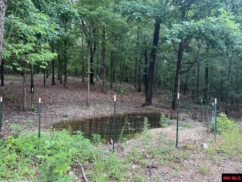 1674 ECHOWOOD CIRCLE Viola, AR 72583