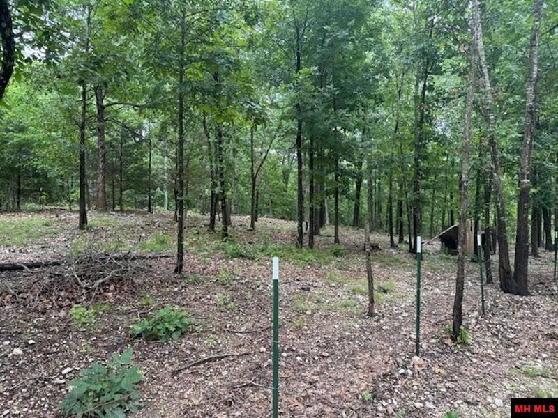 1674 ECHOWOOD CIRCLE Viola, AR 72583