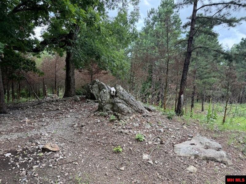 1674 ECHOWOOD CIRCLE Viola, AR 72583