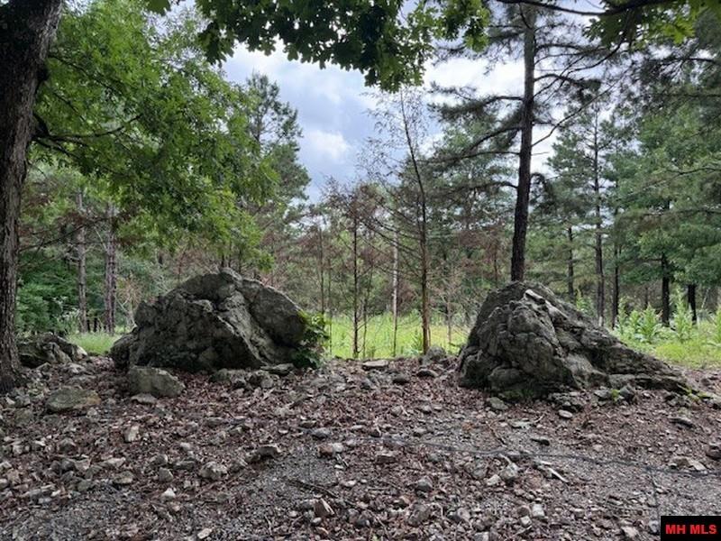 1674 ECHOWOOD CIRCLE Viola, AR 72583