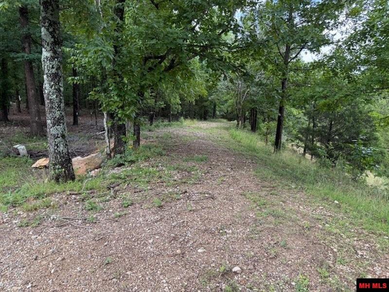 1674 ECHOWOOD CIRCLE Viola, AR 72583