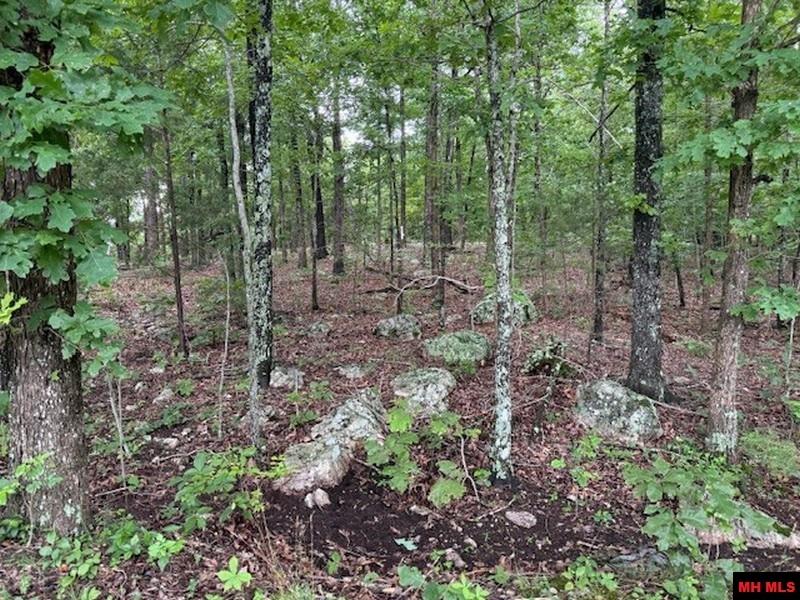 1674 ECHOWOOD CIRCLE Viola, AR 72583