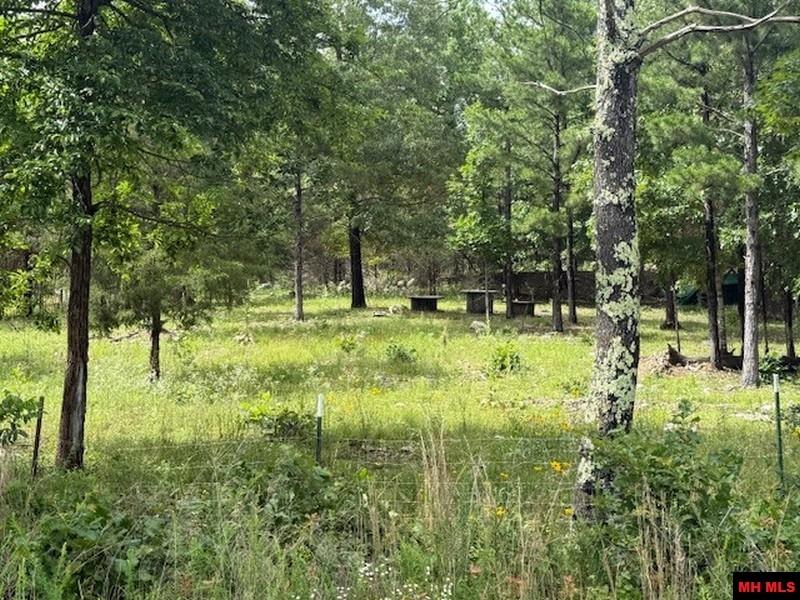 1674 ECHOWOOD CIRCLE Viola, AR 72583