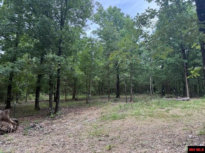 1674 ECHOWOOD CIRCLE Viola, AR 72583