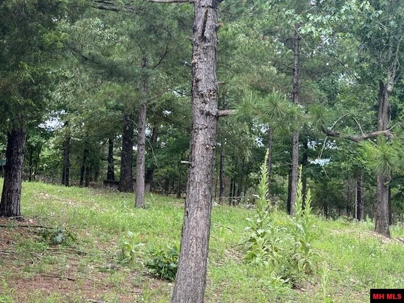 1674 ECHOWOOD CIRCLE Viola, AR 72583