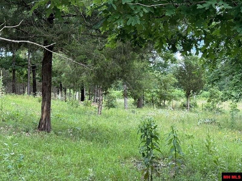 1674 ECHOWOOD CIRCLE Viola, AR 72583