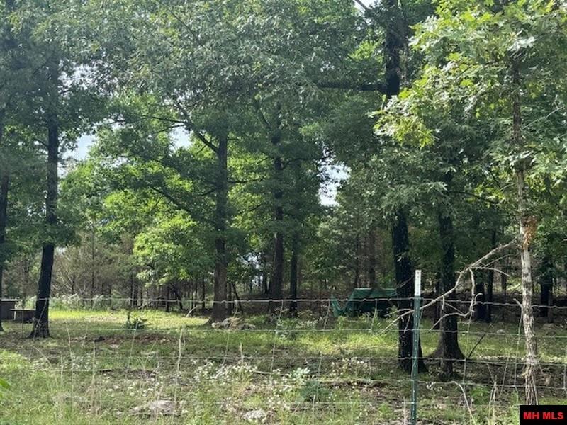 1674 ECHOWOOD CIRCLE Viola, AR 72583