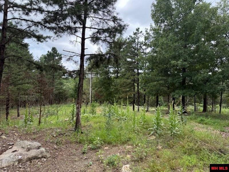 1674 ECHOWOOD CIRCLE Viola, AR 72583